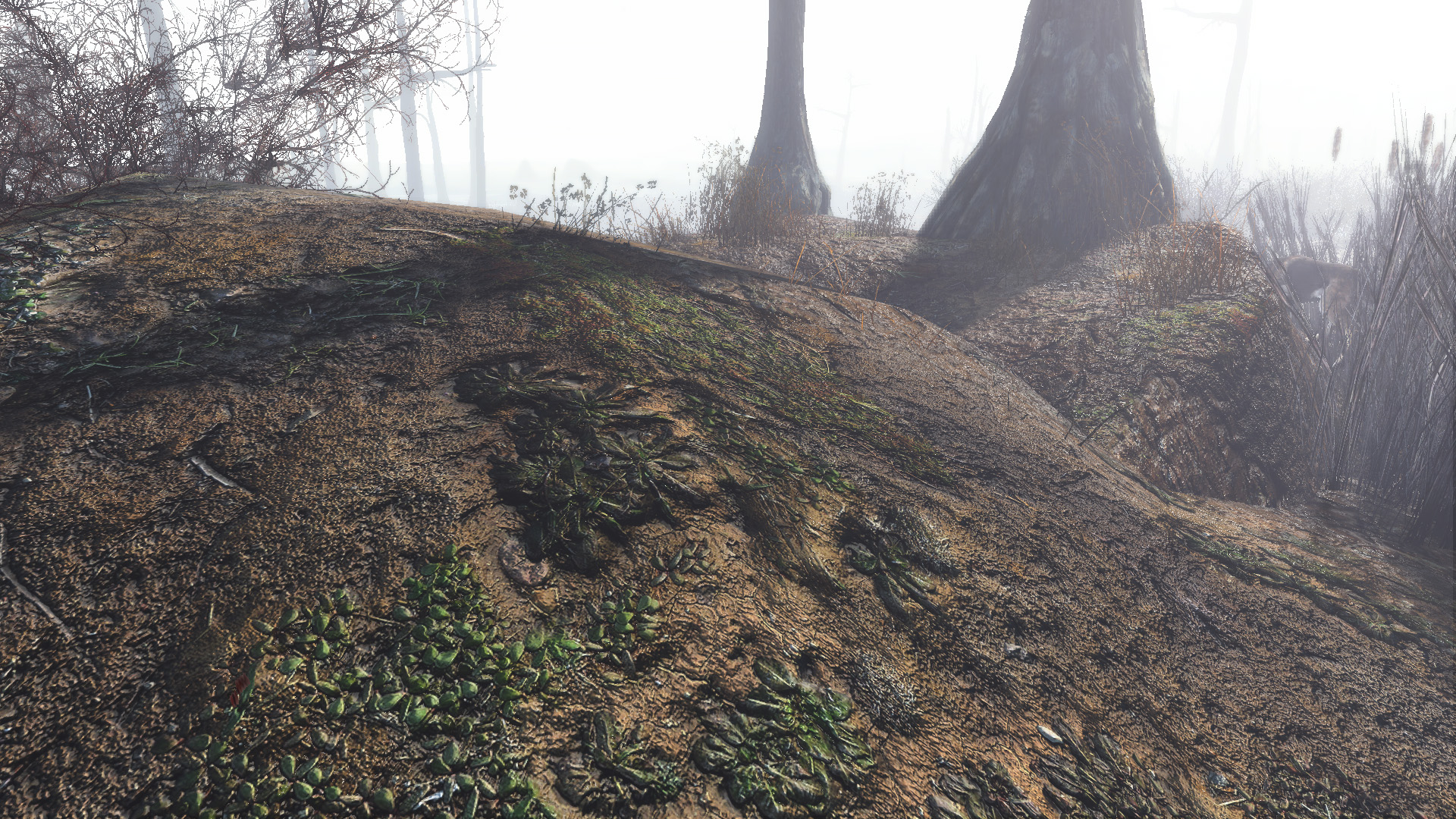 fallout 4 best landscape mods